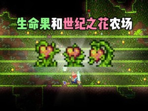 泰拉瑞亚生命果道具使用详解：策略攻略助你掌握生命果实的强大力量