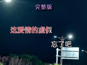 抖音热曲：谁说爱上一个不回家的人，探秘这首情感深处的旋律之旅