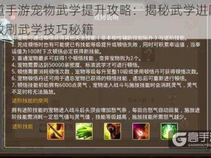 问道手游宠物武学提升攻略：揭秘武学进阶与高效刷武学技巧秘籍