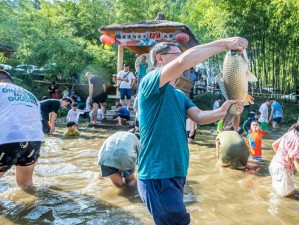 猫之城夏日摸鱼大赛狂欢玩法揭秘：摸鱼乐趣无穷，策略技巧大揭秘