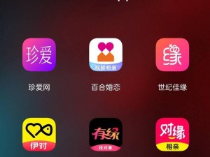 亚洲瘦老头同性 XXX 网站：一款专为老年同志群体打造的交友社区 APP