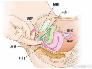 残疾人荫蒂 bbwbbb 是一款专为残疾人设计的荫蒂刺激器