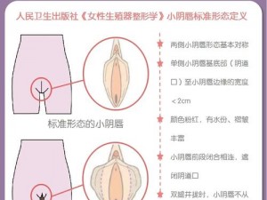 男女靠逼软件，一款私密、安全的两性健康交流工具