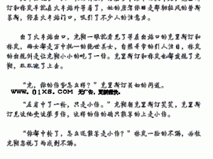 我是军营里供人取乐的小说，这是一本充满刺激与冒险的军事小说