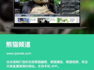 熊猫tv官方网站进入,如何进入熊猫 tv 官方网站？