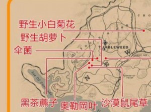 荒野大镖客2：征服草药大师挑战7全攻略，一步步成就草药学大师之路