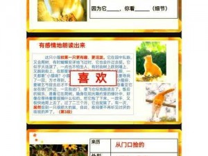 探索《猫之城》课程凭证的多种获取方法：掌握获取课程凭证的秘密指南