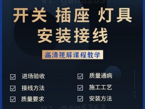 仙庭至尊安装流程与高级配置指南：专业解析与实操教程