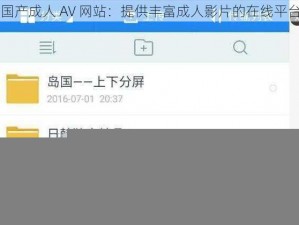 国产成人 AV 网站：提供丰富成人影片的在线平台