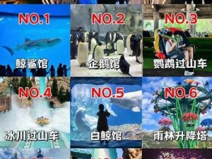 小小航海士村庄：探索海洋世界的微观之旅全景展示