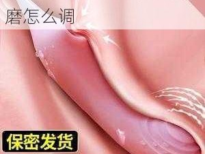 情趣用品九浅一深左右研磨怎么调