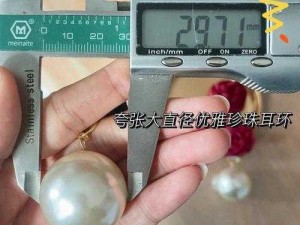 接待一个 30mm 直径的高精度客户