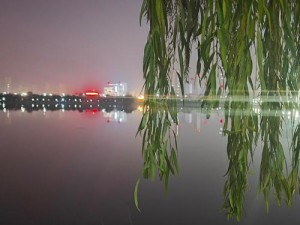 夜色伊人，让你在夜色中更美丽