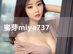 音乐与灯光的完美结合——MIYA.737.MON 灯光音响