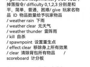 我的世界：岩浆指令详解及操作指南