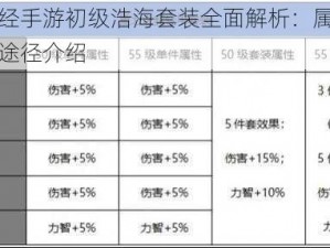 九阴真经手游初级浩海套装全面解析：属性优势及获取途径介绍