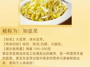 凌云诺特色药膳食谱攻略：健康美味双享的食疗宝典