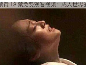 十八禁黄 18 禁免费观看视频：成人世界的诱惑