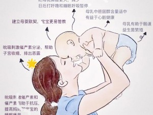 宝宝的最佳营养来源——喂宝宝喝母乳的过程