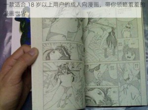 一款适合 18 岁以上用户的成人向漫画，带你领略羞羞的漫画世界