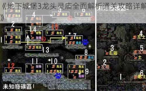 《地下城堡3龙头灵庙全面解析通关攻略详解》