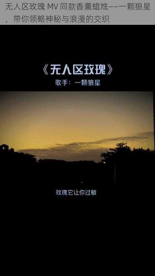 无人区玫瑰 MV 同款香薰蜡烛——一颗狼星，带你领略神秘与浪漫的交织