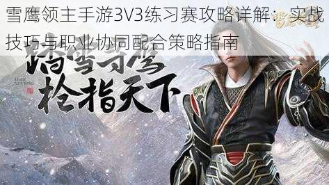 雪鹰领主手游3V3练习赛攻略详解：实战技巧与职业协同配合策略指南