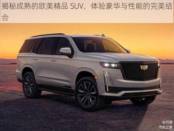 揭秘成熟的欧美精品 SUV，体验豪华与性能的完美结合