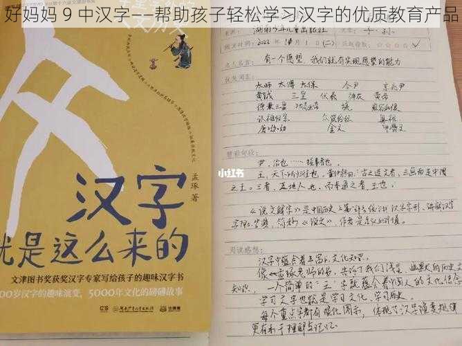 好妈妈 9 中汉字——帮助孩子轻松学习汉字的优质教育产品