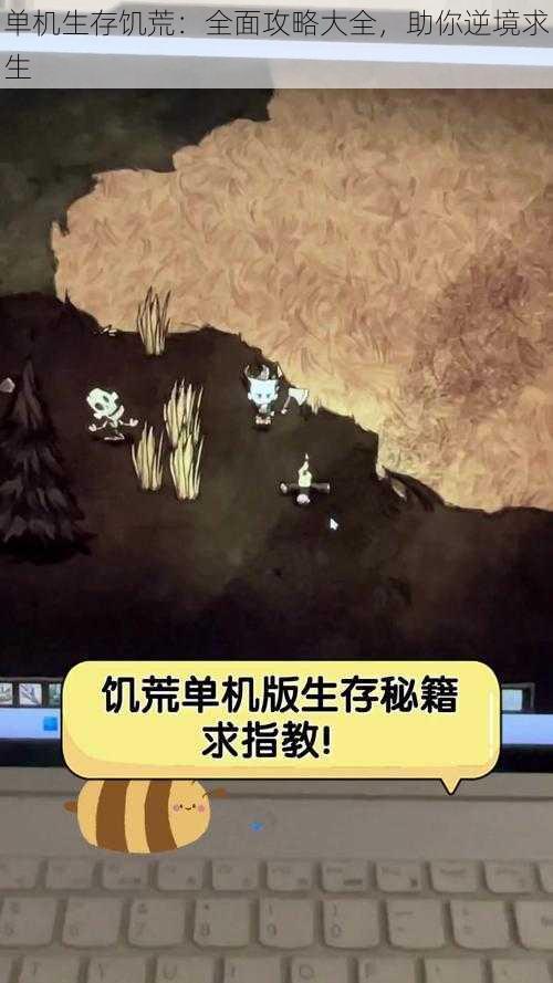 单机生存饥荒：全面攻略大全，助你逆境求生