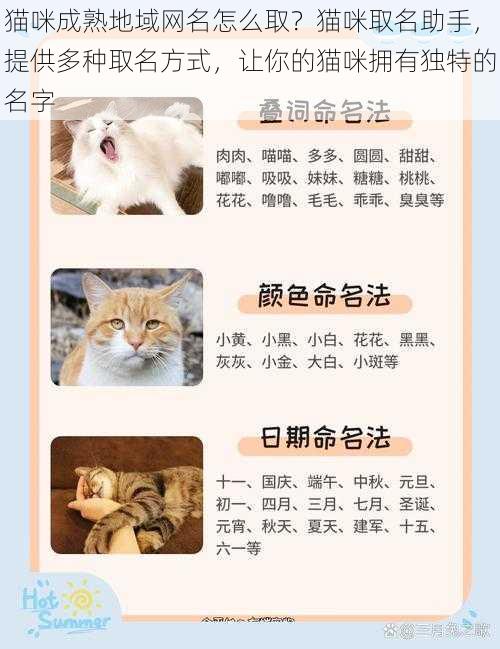 猫咪成熟地域网名怎么取？猫咪取名助手，提供多种取名方式，让你的猫咪拥有独特的名字