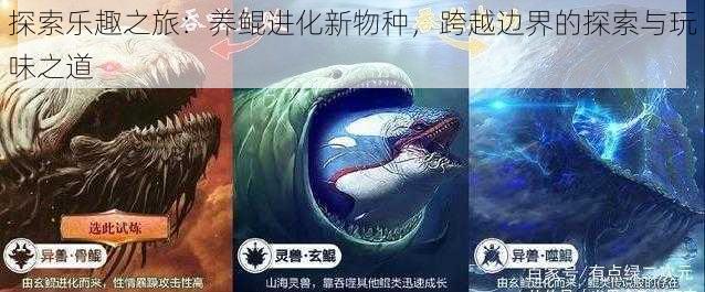 探索乐趣之旅：养鲲进化新物种，跨越边界的探索与玩味之道