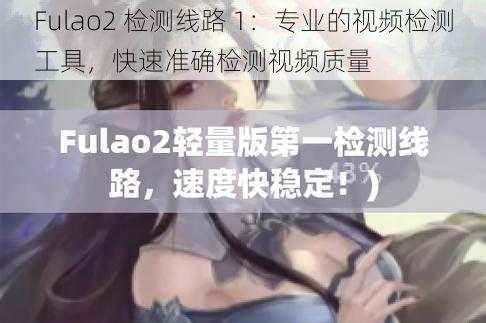 Fulao2 检测线路 1：专业的视频检测工具，快速准确检测视频质量