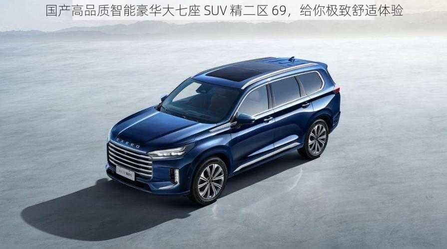 国产高品质智能豪华大七座 SUV 精二区 69，给你极致舒适体验