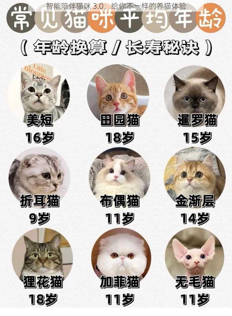 智能陪伴猫咪 3.0，给你不一样的养猫体验