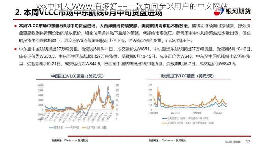 ххх中国人 WWW 有多好——一款面向全球用户的中文网站