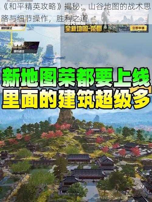 《和平精英攻略》揭秘：山谷地图的战术思路与细节操作，胜利之道