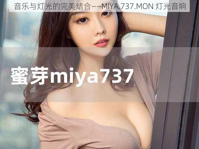 音乐与灯光的完美结合——MIYA.737.MON 灯光音响