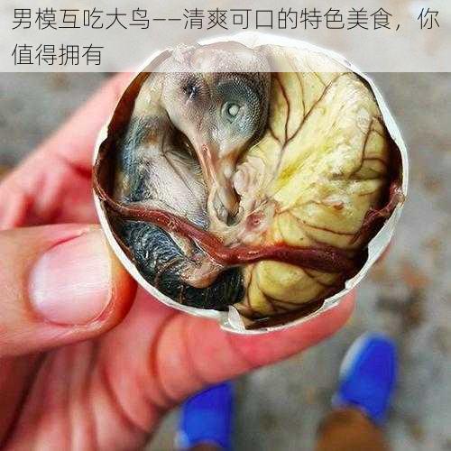 男模互吃大鸟——清爽可口的特色美食，你值得拥有