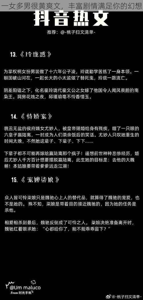 一女多男很黄爽文，丰富剧情满足你的幻想