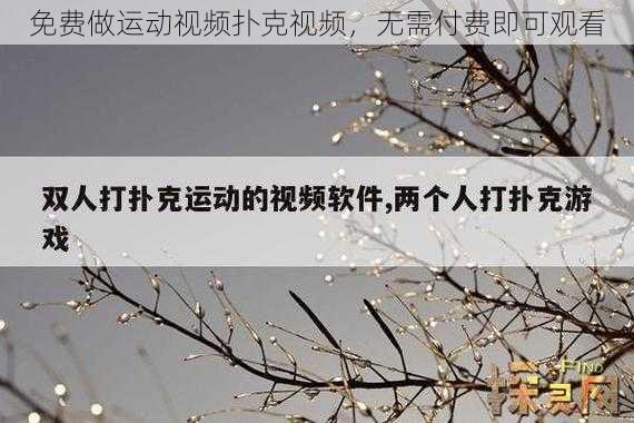 免费做运动视频扑克视频，无需付费即可观看