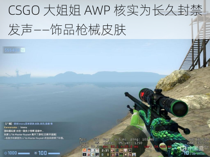 CSGO 大姐姐 AWP 核实为长久封禁发声——饰品枪械皮肤