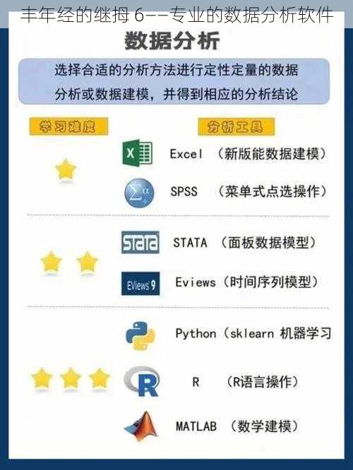 丰年经的继拇 6——专业的数据分析软件