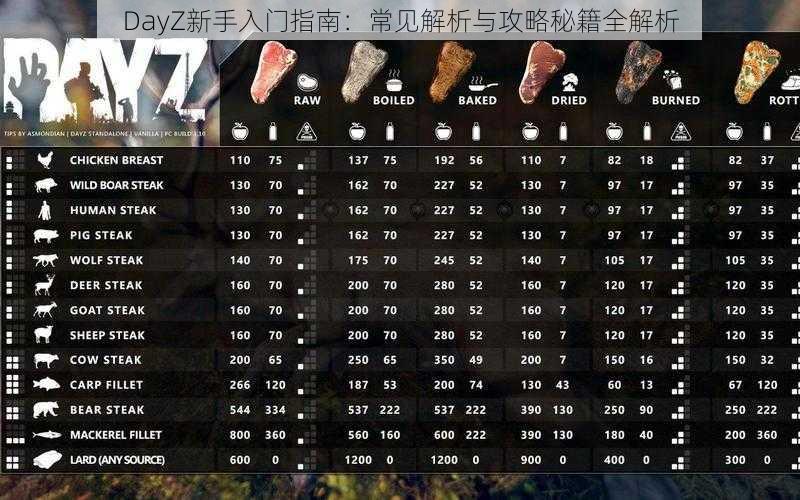 DayZ新手入门指南：常见解析与攻略秘籍全解析