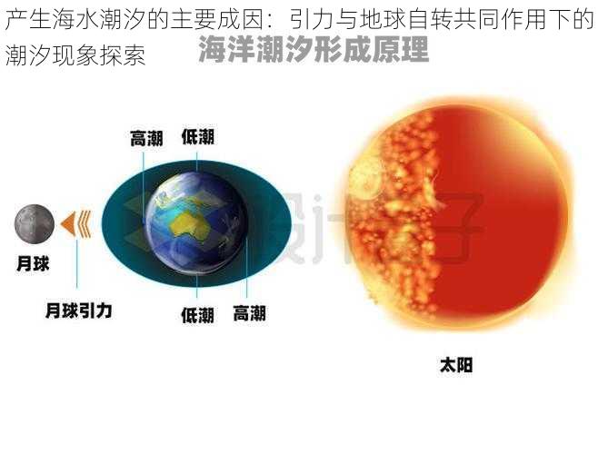 产生海水潮汐的主要成因：引力与地球自转共同作用下的潮汐现象探索