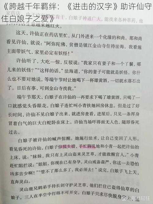 《跨越千年羁绊：《进击的汉字》助许仙守住白娘子之爱》