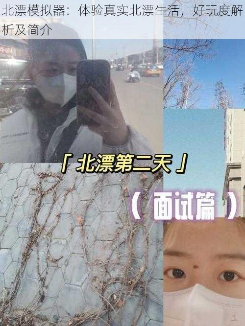 北漂模拟器：体验真实北漂生活，好玩度解析及简介