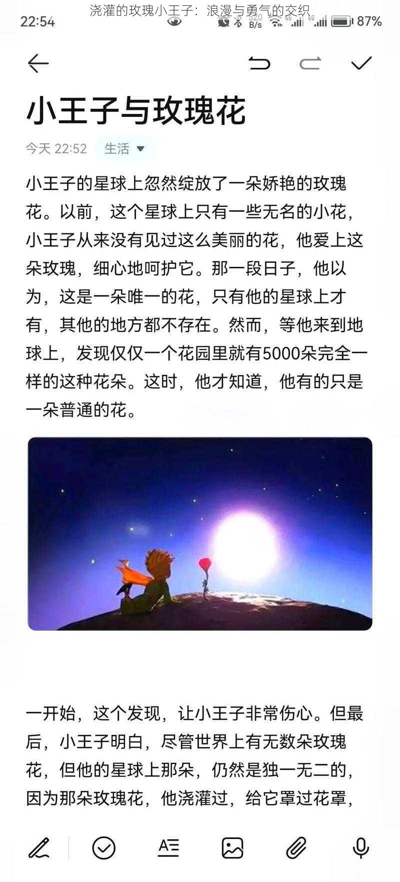 浇灌的玫瑰小王子：浪漫与勇气的交织