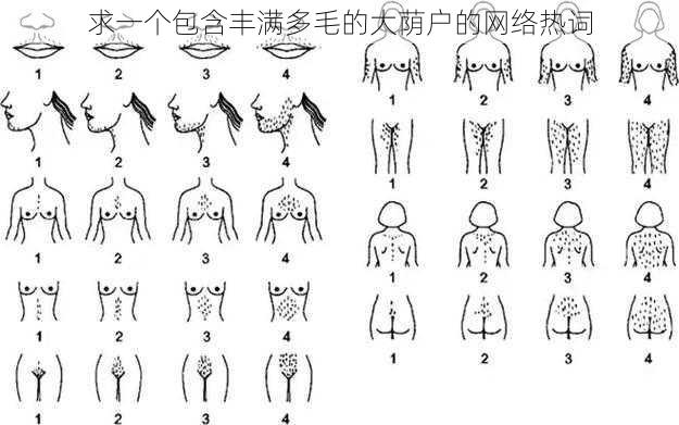求一个包含丰满多毛的大荫户的网络热词