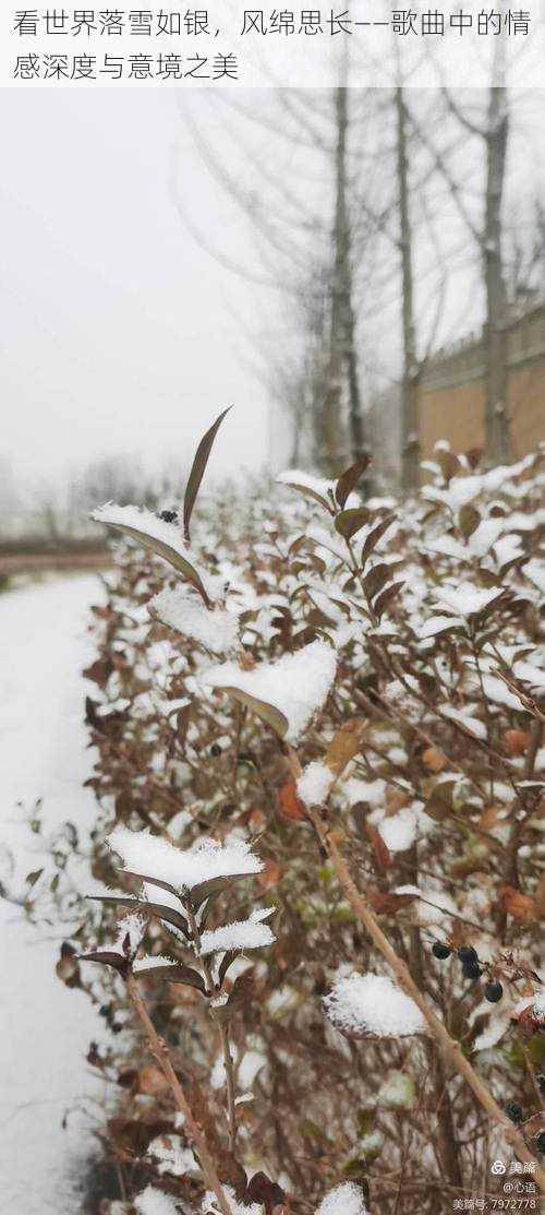 看世界落雪如银，风绵思长——歌曲中的情感深度与意境之美